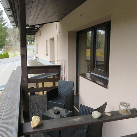 Pension Aura Spicak, Nektere Pokoje Se Saunou Železná Ruda Extérieur photo