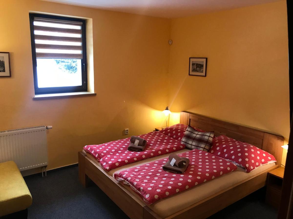 Pension Aura Spicak, Nektere Pokoje Se Saunou Železná Ruda Extérieur photo