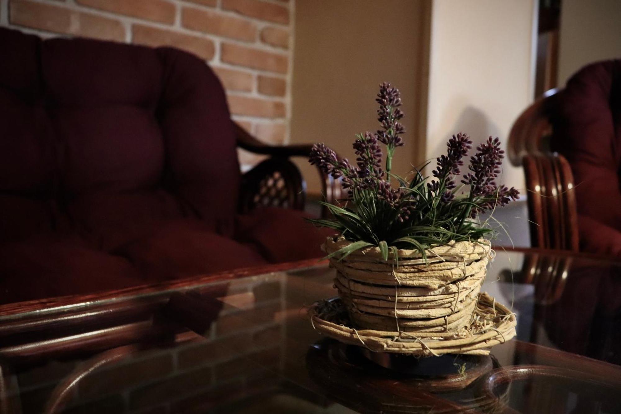 Pension Aura Spicak, Nektere Pokoje Se Saunou Železná Ruda Extérieur photo
