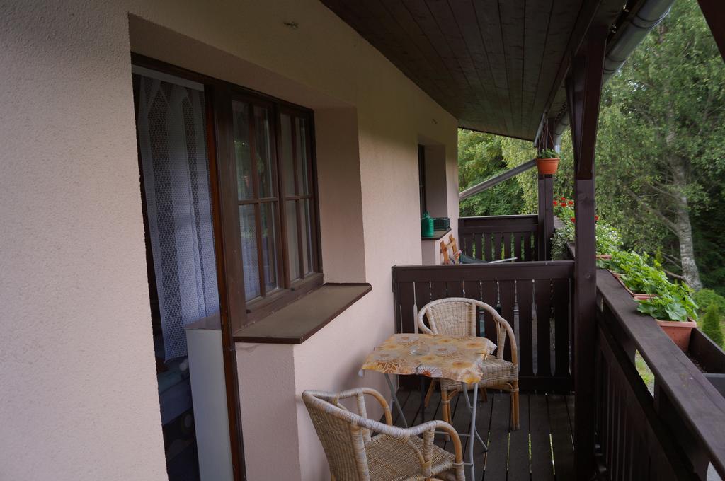 Pension Aura Spicak, Nektere Pokoje Se Saunou Železná Ruda Extérieur photo